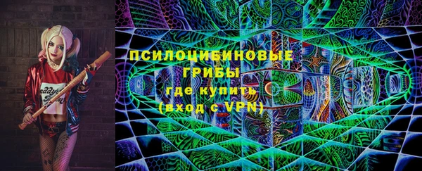 твердый Тавда