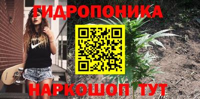 амф Новозыбков