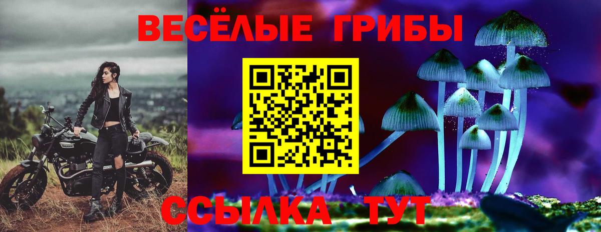 Буйнакск  Псилоцибиновые грибы ЛСД  Вход с VPN  Галлюциногенные грибы Psilocybine cubensis 