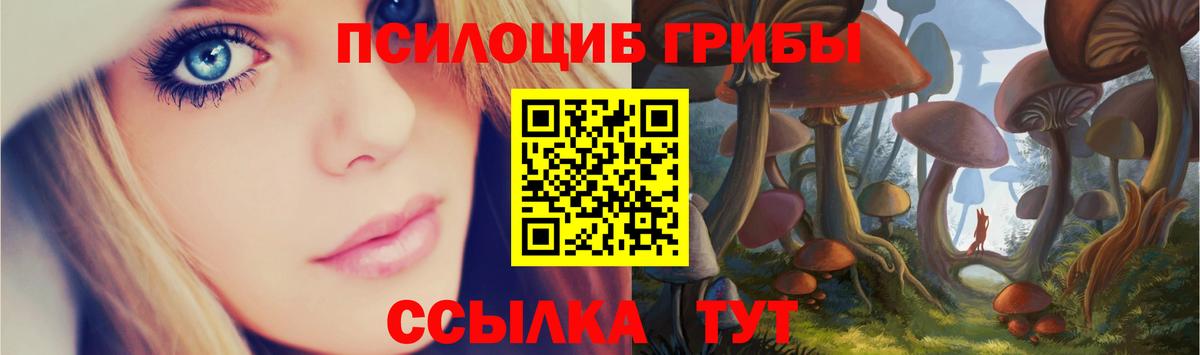 Псилоцибиновые грибы Magic Shrooms Буйнакск
